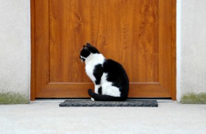 Chati&egrave;re : mode d'emploi