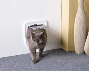 Chati&egrave;re : mode d'emploi