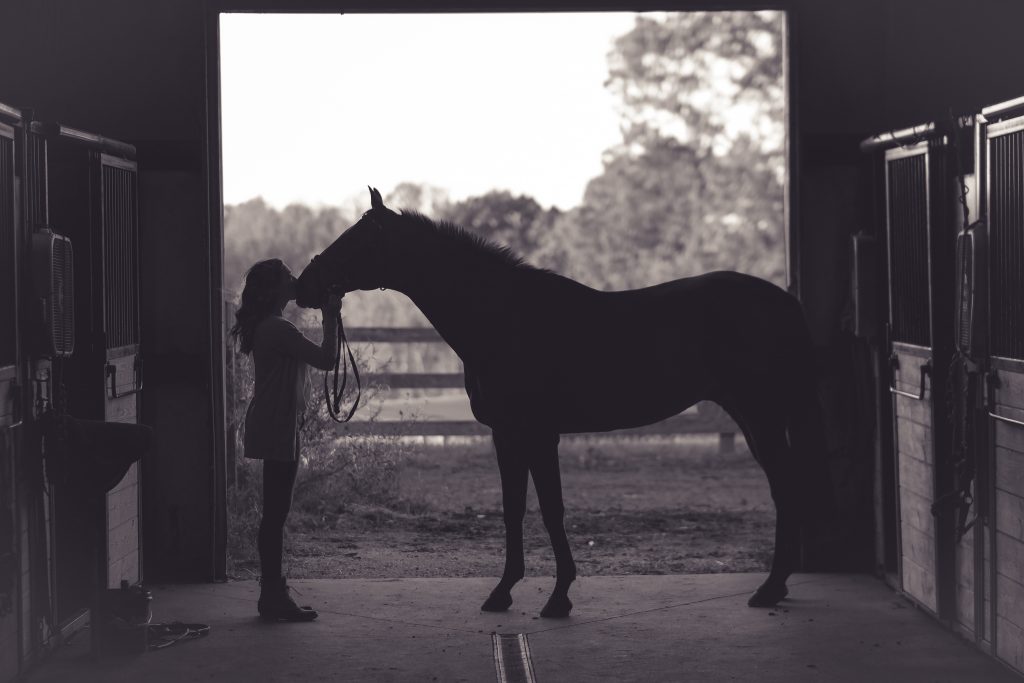 Jeune cavalière et son cheval dans uen écurie sombre