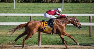 Cheval et son cavalier en pleine compétition sportive